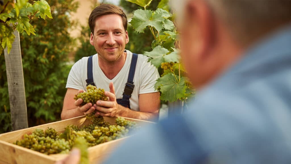 Die besten Weingüter an der Mosel entdecken